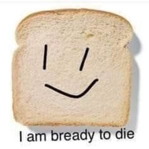 Meet your Posher, Nell